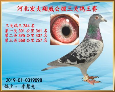 决赛257名
