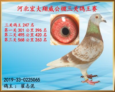 决赛263名