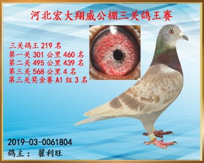 决赛4名