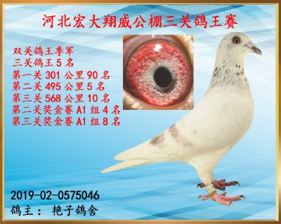 决赛10名、双关鸽王季军、三关鸽王5名、第二关5名