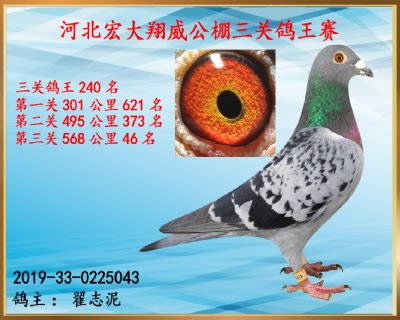 决赛46名