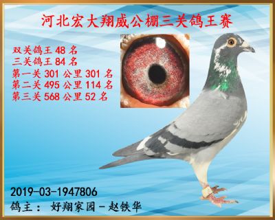 决赛52名
