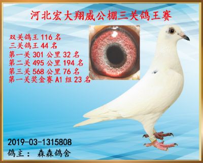 决赛76名、三关鸽王44名