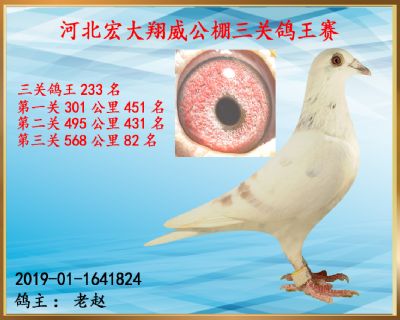 决赛82名