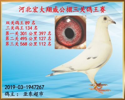 决赛112名、双关鸽王89名