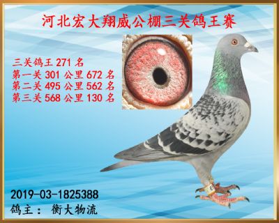决赛130名