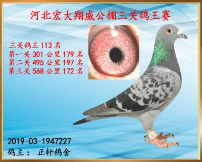 决赛172名