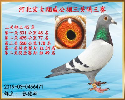 决赛178名、三关鸽王45名