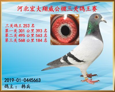 决赛184名