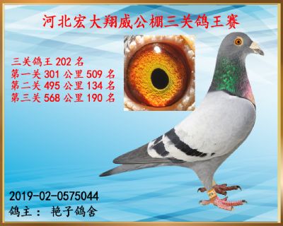 决赛190名