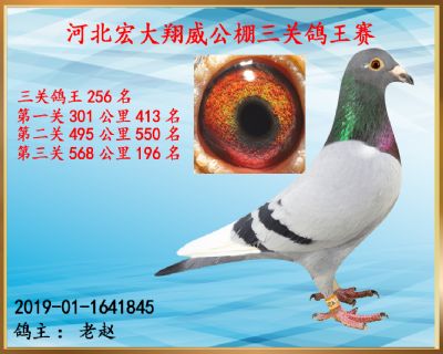 决赛196名