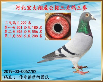 决赛208名