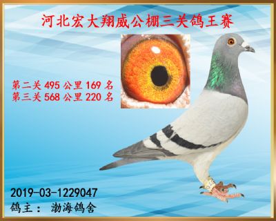 决赛220名