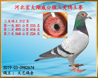 决赛226名