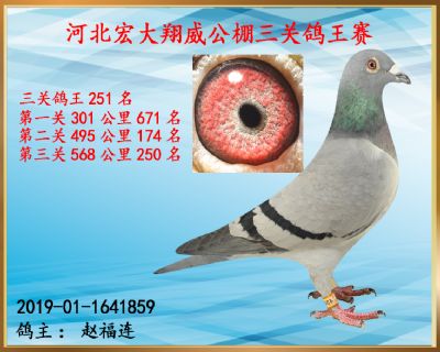 决赛250名