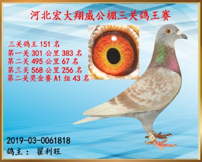 决赛256名、第二关67名
