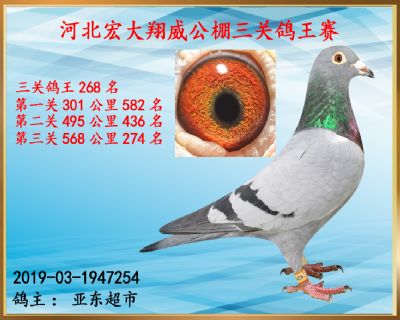 决赛274名