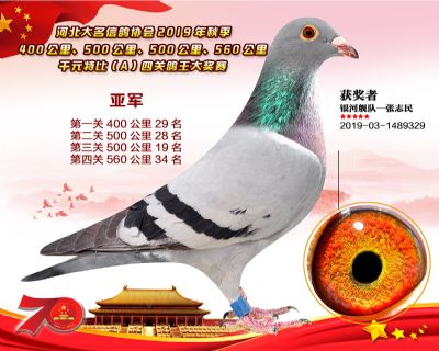 千元四關鴿王亞軍