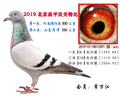 常万江.43.2019-01-0813391 雄