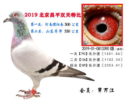 常万江.189.2019-01-0813390雄