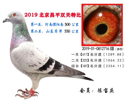 陈宝庆.187.2019-01-0812716雄
