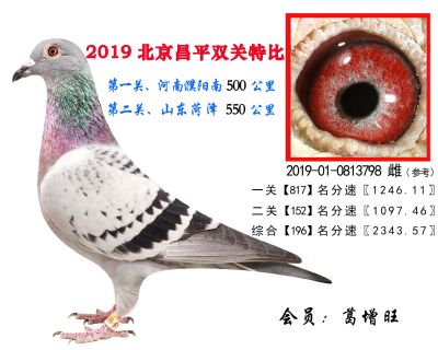 葛增旺,196,2019-01-0813798 雌