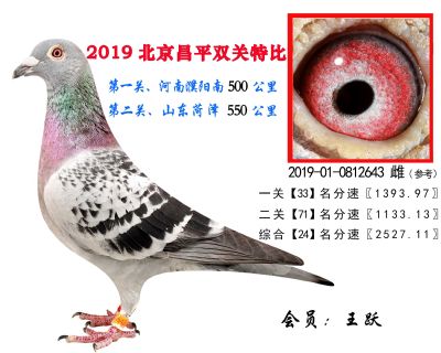 王跃.24.2019-01-0812643 雌