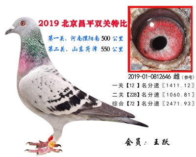 王跃.72.2019-01-0812646 雌