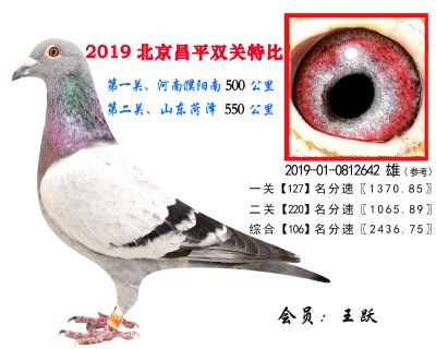 王跃.106.2019-01-0812642 雄