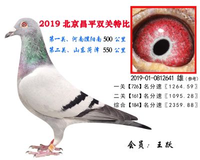 王跃.184.2019-01-0812641 雄