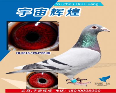 【歐元】近親直孫