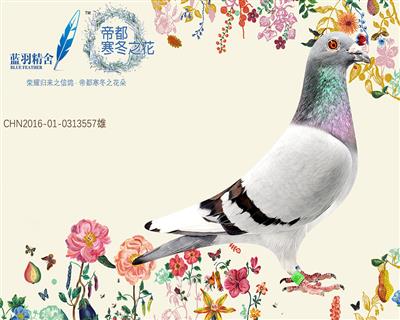芬妮卡557