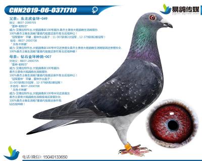 艾佛拉特-湯姆公主710