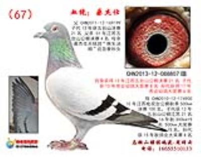 自身13年江蘇五臺山公棚決賽21名