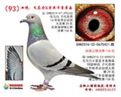 自身獲得公棚決賽158名