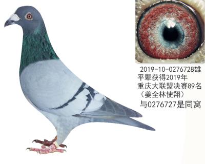 清棚2