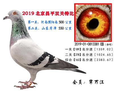 常万江.163.2019-01-0813381雄