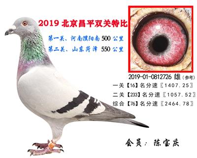 陈宝庆.76.2019-01-0812726 雄