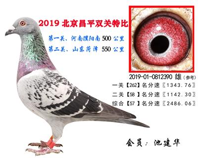 池建华.57.2019-01-0812390 雌