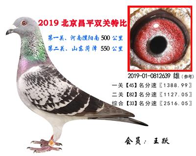 王跃.33.2019-01-0812639 雄