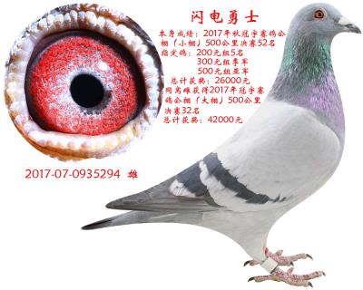 德國桑杰士-閃電勇士