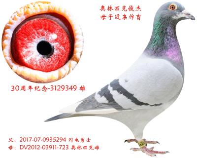 奧林匹克俊杰