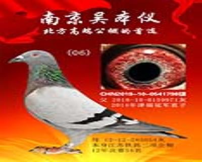 父親14年冠軍直子