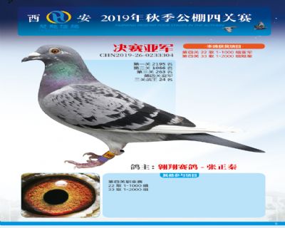 威力慧能决赛亚军