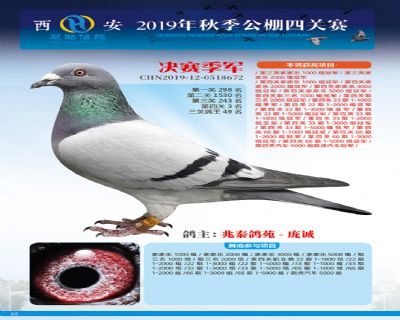 威力慧能决赛季军