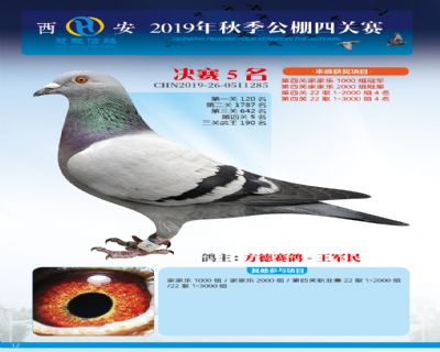 威力慧能决赛5名