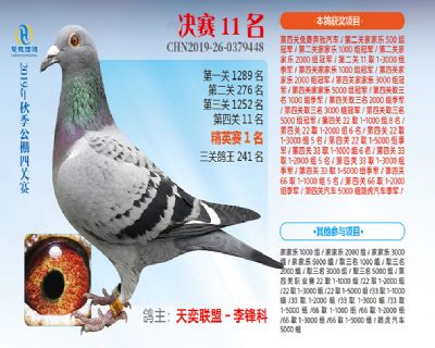 威力慧能决赛11名