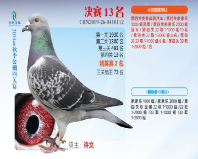 威力慧能决赛13名