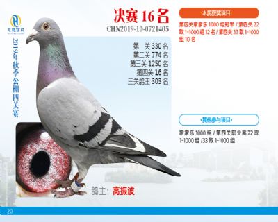 威力慧能决赛16名