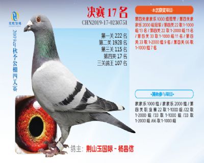 威力慧能决赛17名